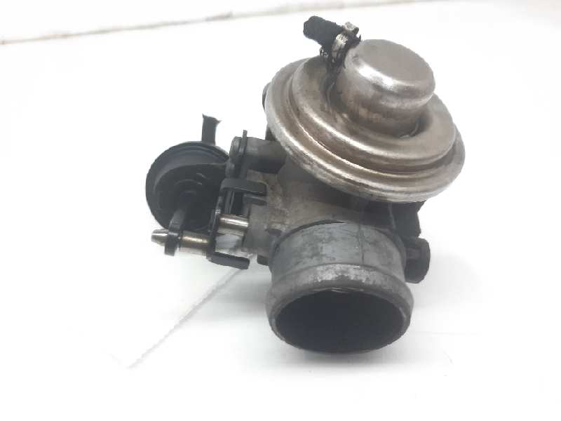 SEAT Toledo 2 generation (1999-2006) EGR Valve 038131501E 18476309