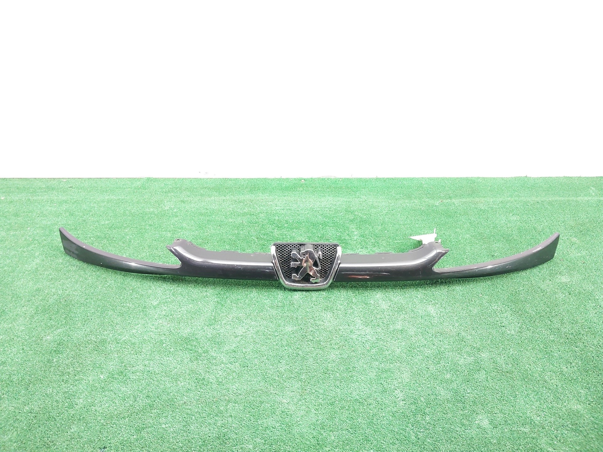 VAUXHALL F (1991-2002) Radiator Grille 9628691277 25393796