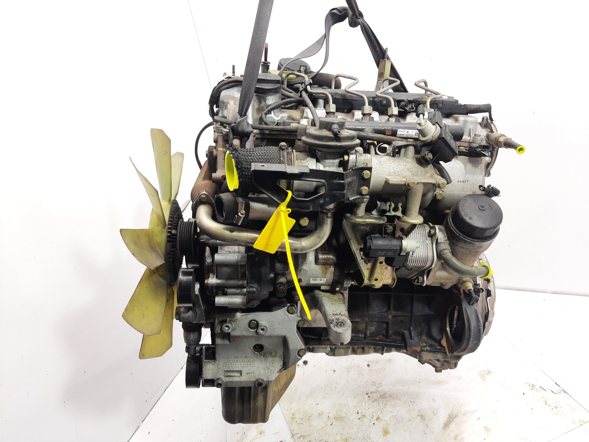 SSANGYONG Kyron 1 generation (2005-2015) Motor D20DT 25059571