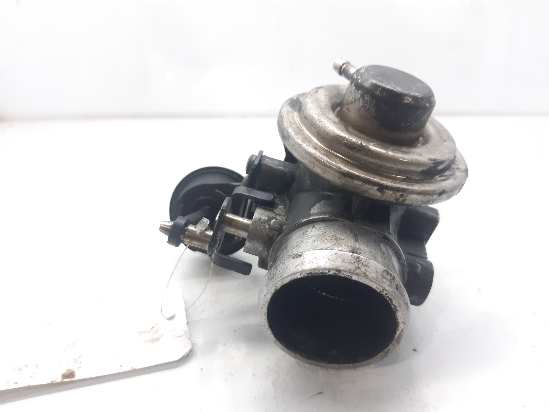 SEAT Leon 1 generation (1999-2005) EGR Valve 038129637 18639069