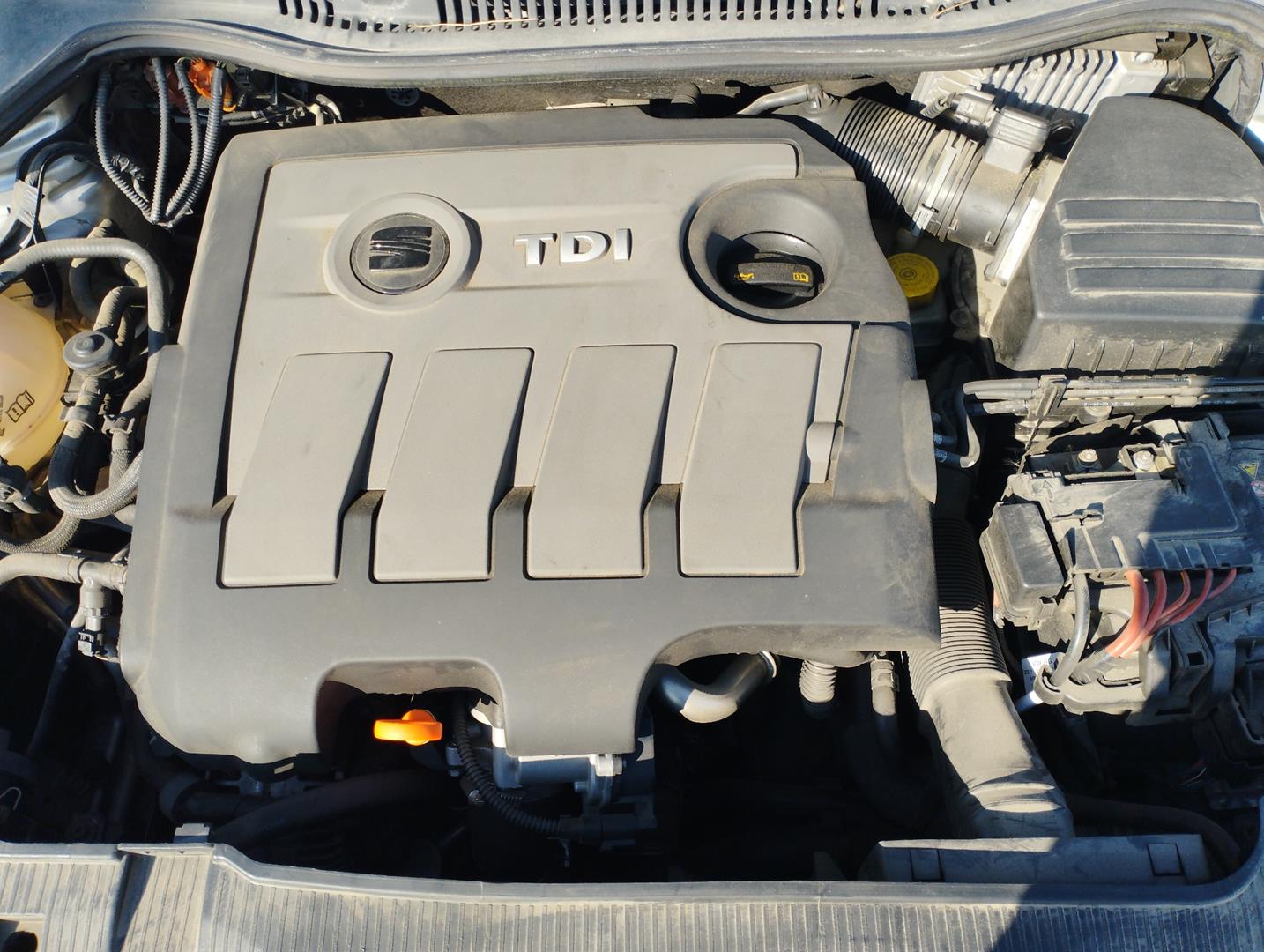 SEAT Ibiza 4 generation (2008-2017) Engine Cylinder Head 03L103373A 22784655
