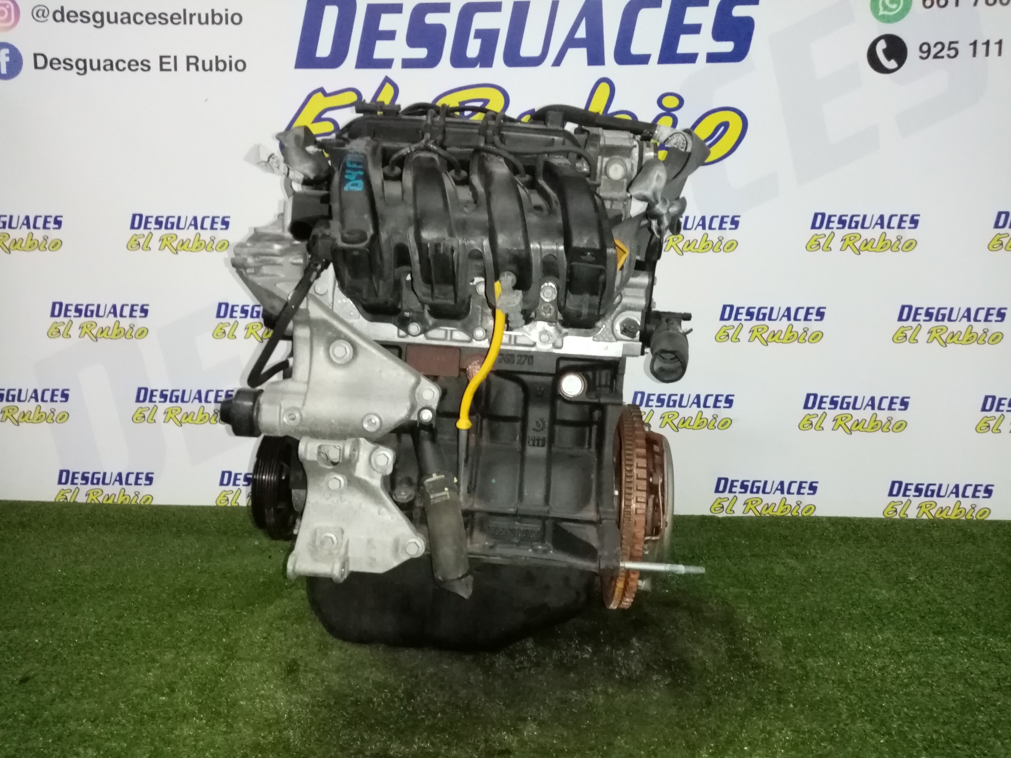 DACIA Sandero 1 generation (2008-2012) Motor D4FF732, D4F732 25942570