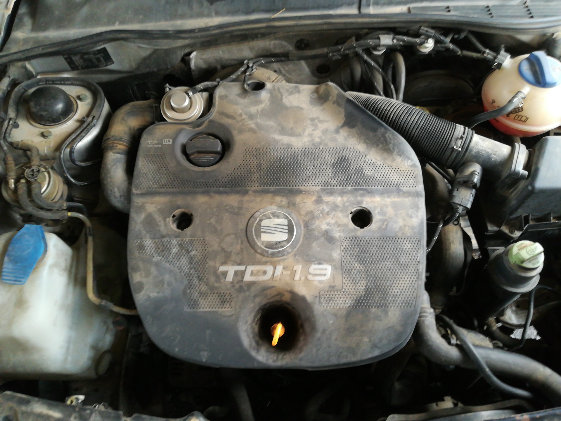 SEAT Ibiza 2 generation (1993-2002) Power Steering Pump 6N0145157X 22366106