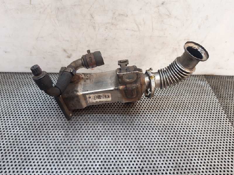 RENAULT Scenic 2 generation (2003-2010) EGR hűtő 50006603 19300427