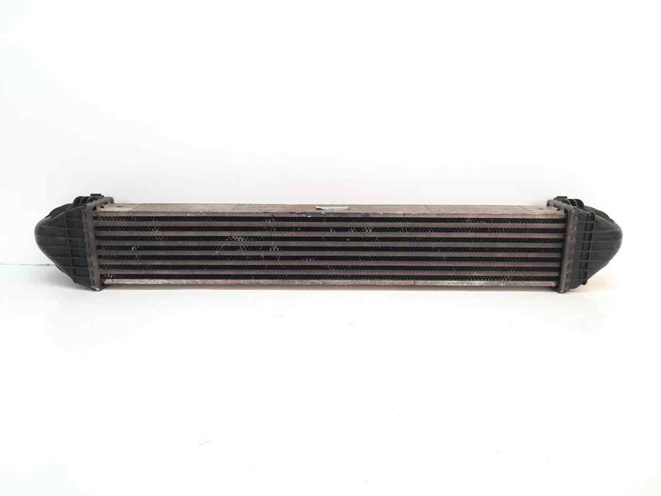 MERCEDES-BENZ A-Class W169 (2004-2012) Intercooler radiátor A1695000000 24938705