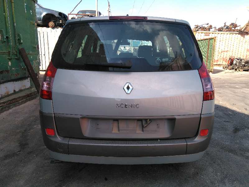 RENAULT Scenic 2 generation (2003-2010) Hazard button 8200095493 19270858