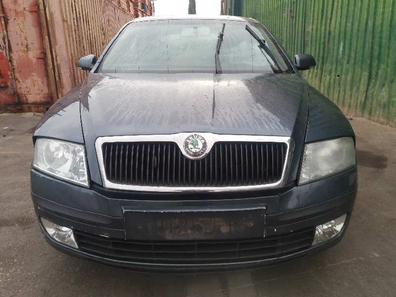 SKODA Octavia 2 generation (2004-2013) Помпа кондиціонера 811057002 19379262