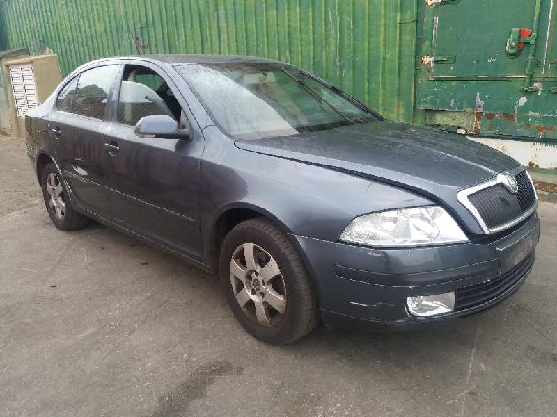 SKODA Octavia 2 generation (2004-2013) Помпа кондиціонера 811057002 19379262