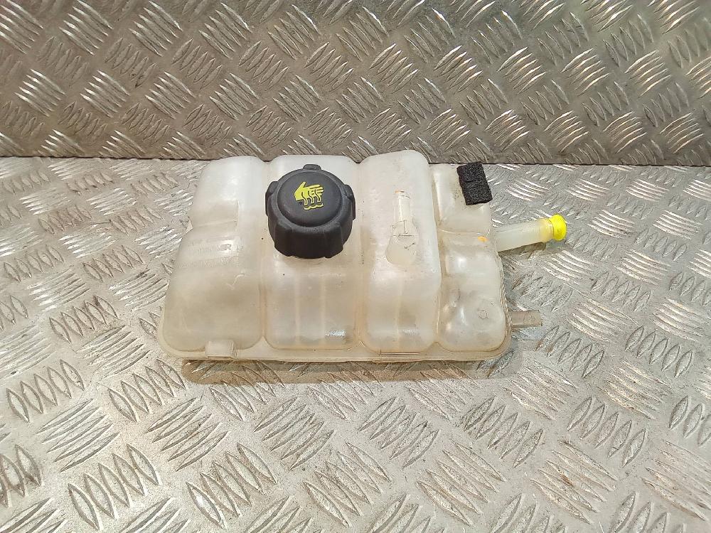 RENAULT Scenic 4 generation (2017-2023) Expansion Tank 217104048R 24512365