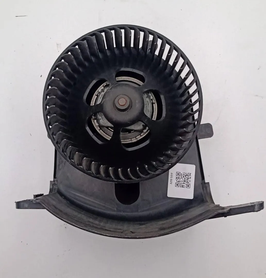 Elektroventilator de Renault Grand scénic ii (jm0/1_) 2004-2006 - pieza usada