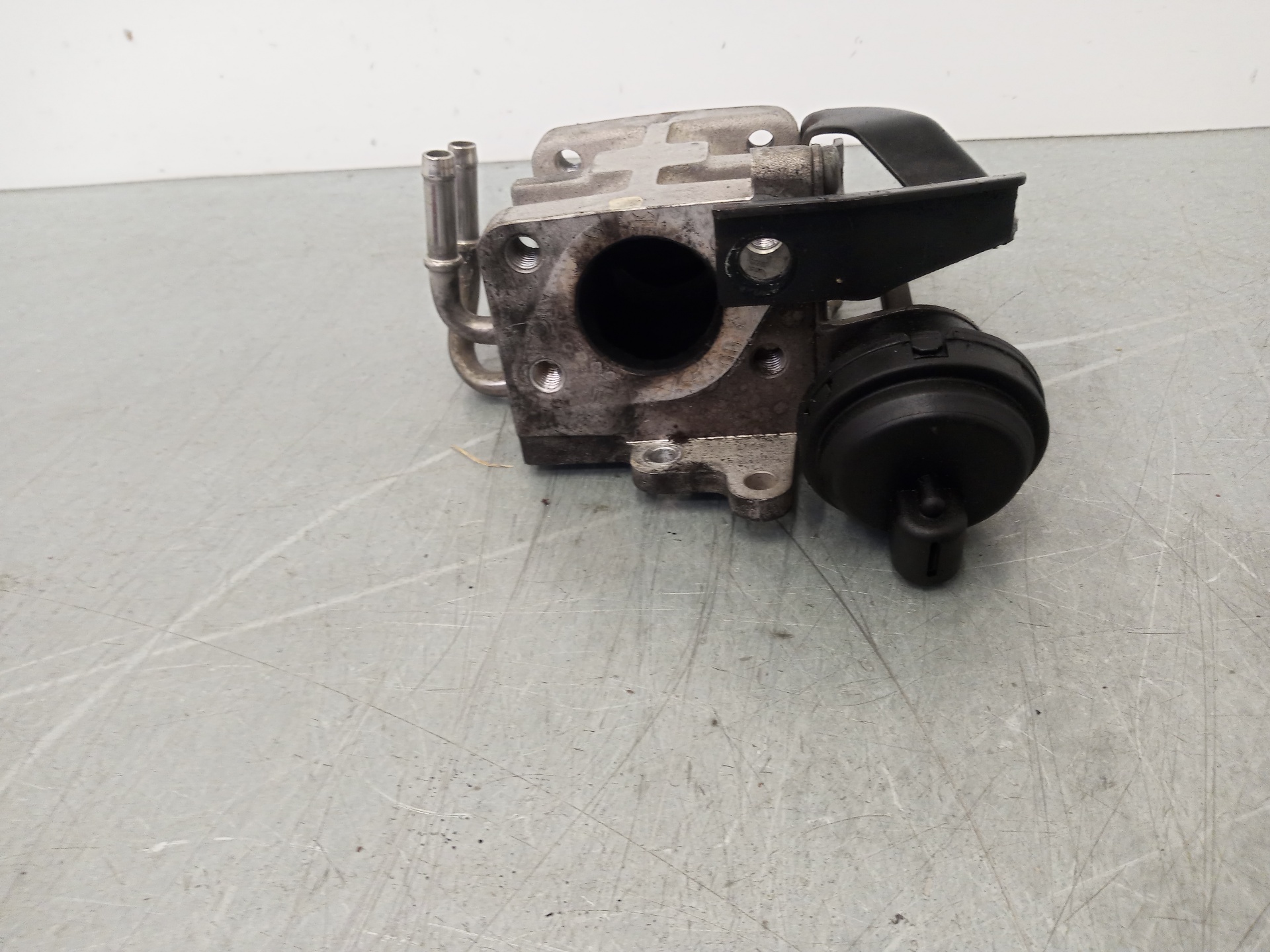 VOLKSWAGEN Golf 5 generation (2003-2009) Егр клапан 03G131063E 26376929