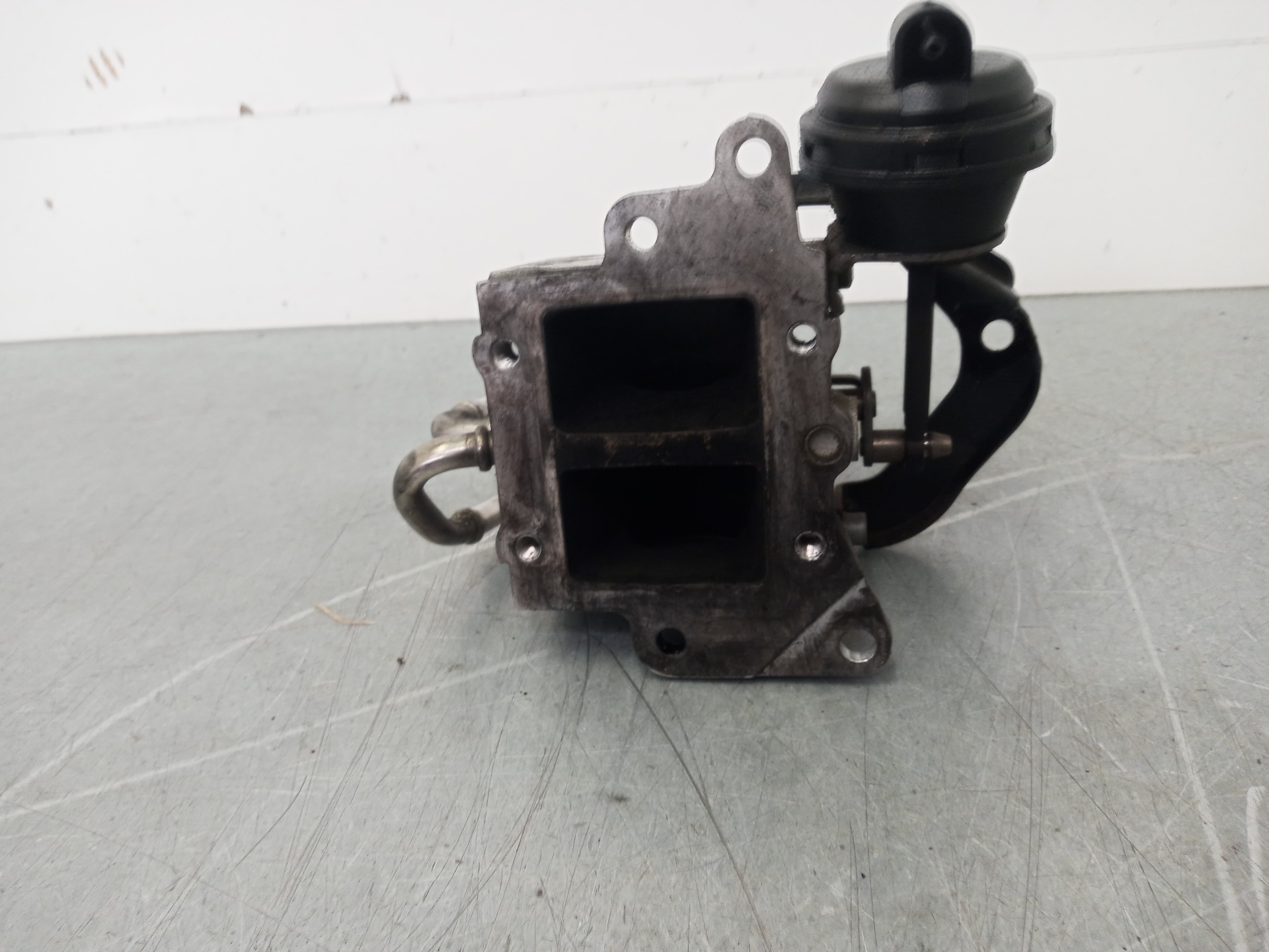 VOLKSWAGEN Golf 5 generation (2003-2009) Егр клапан 03G131063E 26376929