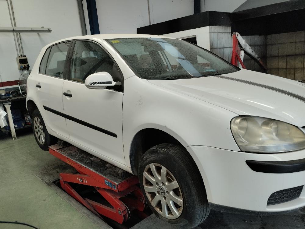 PARASOL DERECHO VOLKSWAGEN GOLF 2004 1.9 TDI 5MT 105CV