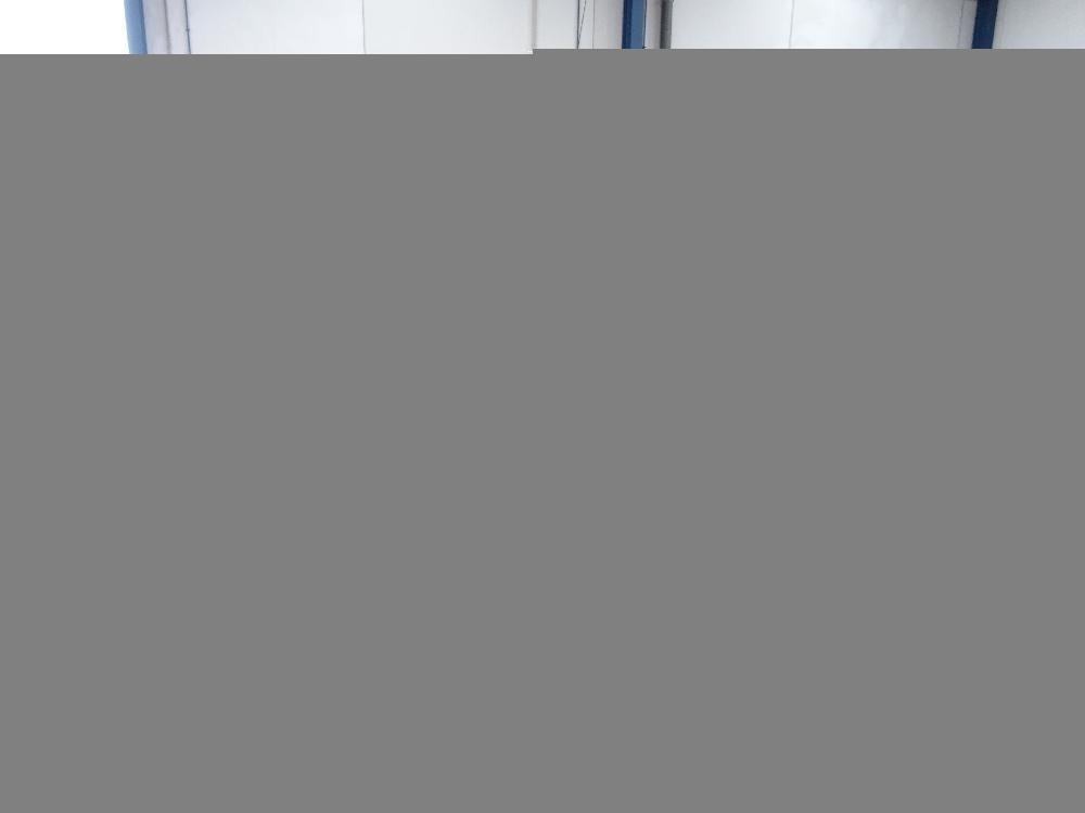 MANDO LIMPIA RENAULT SCENIC 2002 1.9 DCI MT 102CV