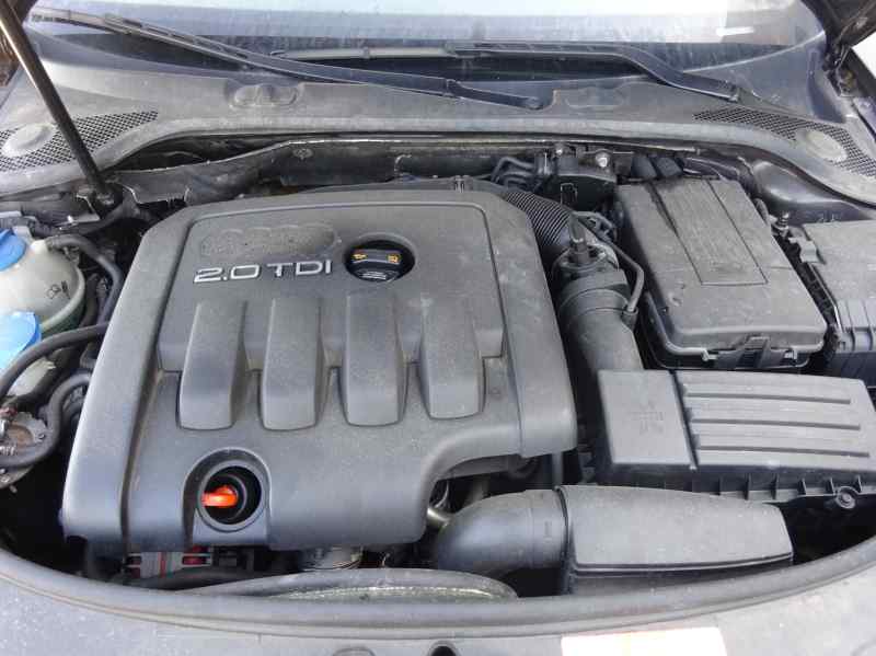 MANDO ELEVALUNAS TRASERO DERECHO AUDI A3 2007 2.0 TDI MT QUATTRO 140CV