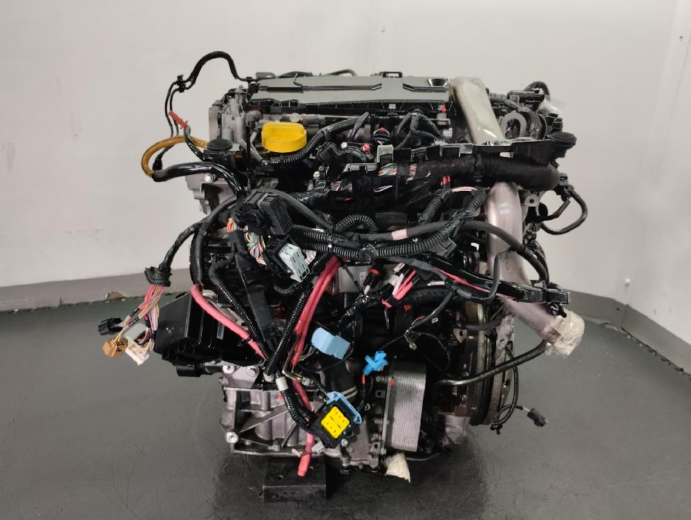 MOTOR COMPLETO RENAULT SCENIC 2.0 DCI FAP MT 160CV