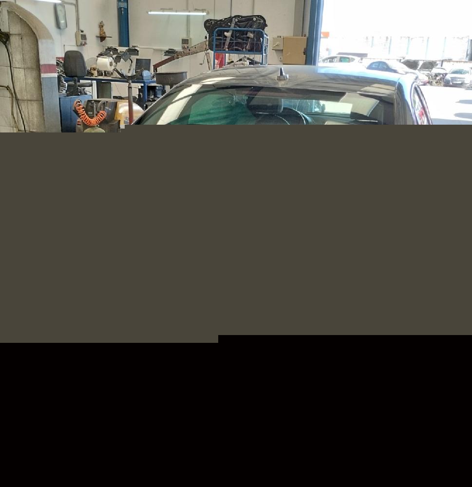 LUZ INTERIOR AUDI A3 1.5 MT 150CV | 110KW
