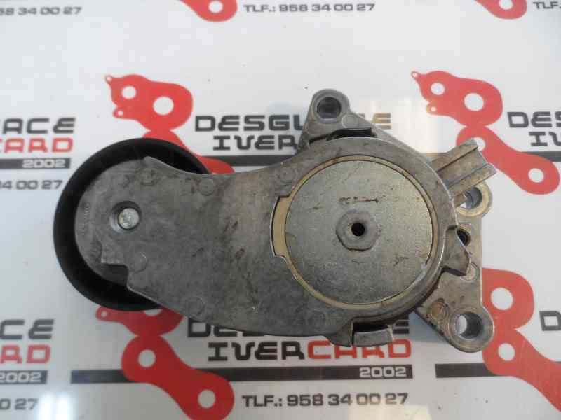 TENSOR CORREA AUXILIAR FORD FOCUS 1.6 TDCI MT 95CV
