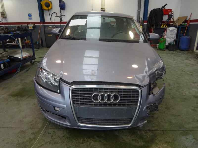 PUERTA DELANTERA DERECHA AUDI A3 2008 1.9 TDI MT 105CV | 77KW