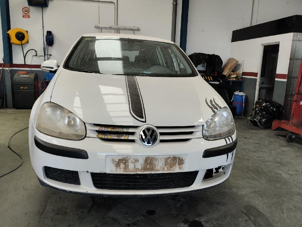 PARASOL DERECHO VOLKSWAGEN GOLF 2004 1.9 TDI 5MT 105CV