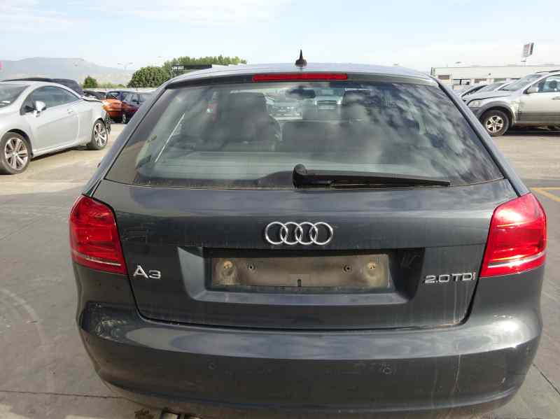 PORTON TRASERO AUDI A3 2.0 TDI MT 140CV