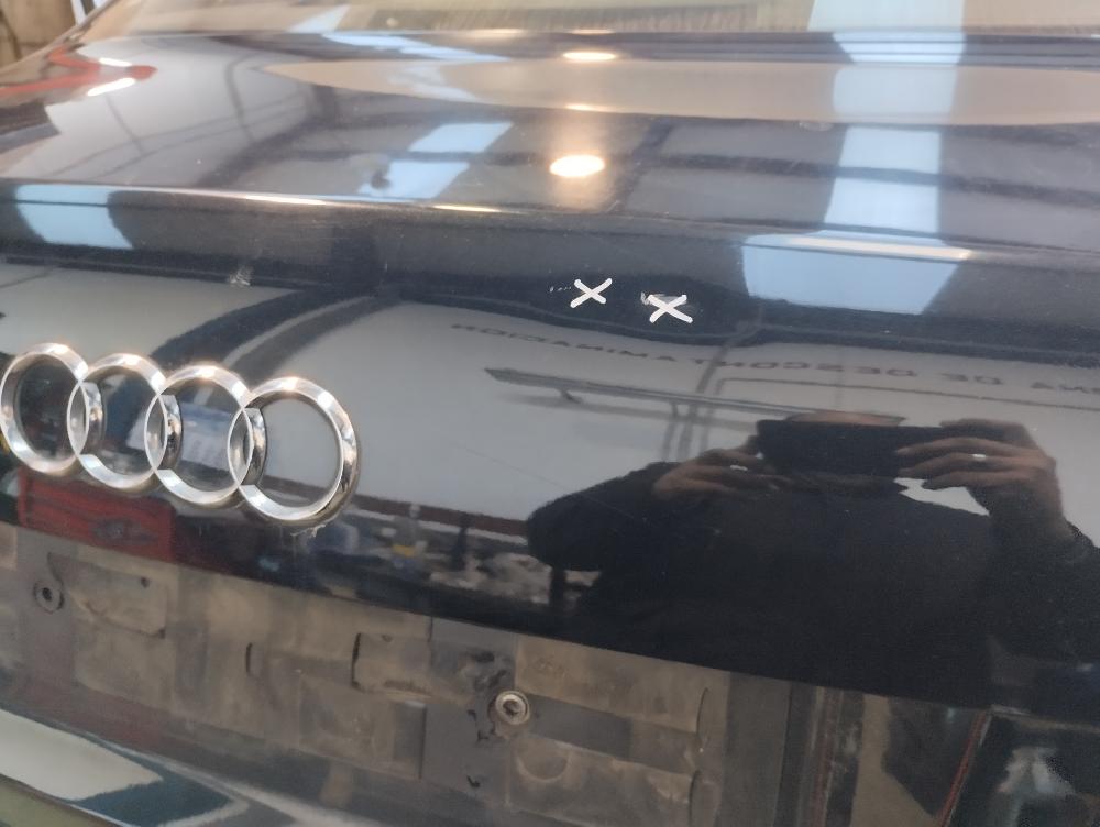 PORTON TRASERO AUDI A4 2.0 TDI MT 140CV | 103KW