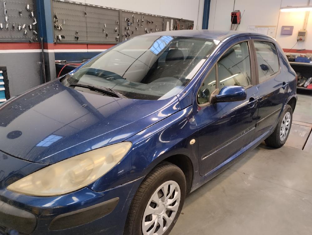TENSOR CORREA AUXILIAR PEUGEOT 307 1.6 HDI MT 90CV