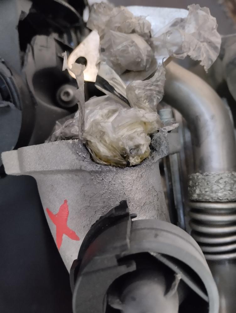 MOTOR COMPLETO SEAT LEON 1.9 MT DIESEL
