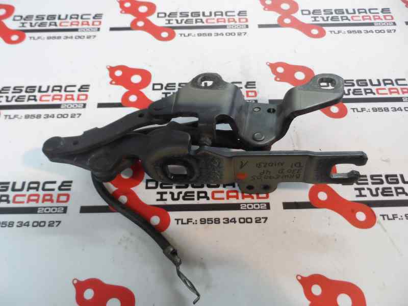 BISAGRA CAPO IZQUIERDA BMW SERIE 3 3.0 330XD MT 231CV