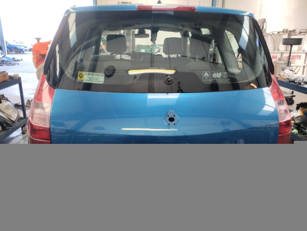 MANDO LIMPIA RENAULT SCENIC 2005 1.9 DCI MT 120CV