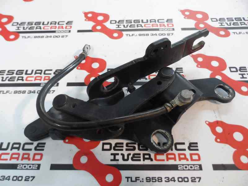 BISAGRA CAPO IZQUIERDA BMW SERIE 3 3.0 330XD MT 231CV