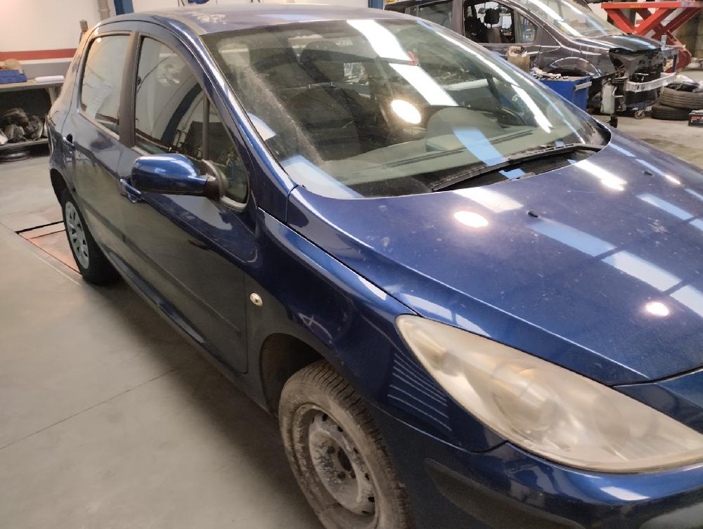TENSOR CORREA AUXILIAR PEUGEOT 307 1.6 HDI MT 90CV