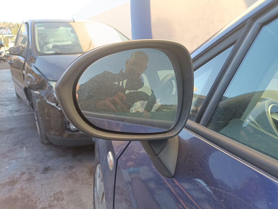 SEAT Ibiza 4 generation (2008-2017) Зеркало передней левой двери 25065918