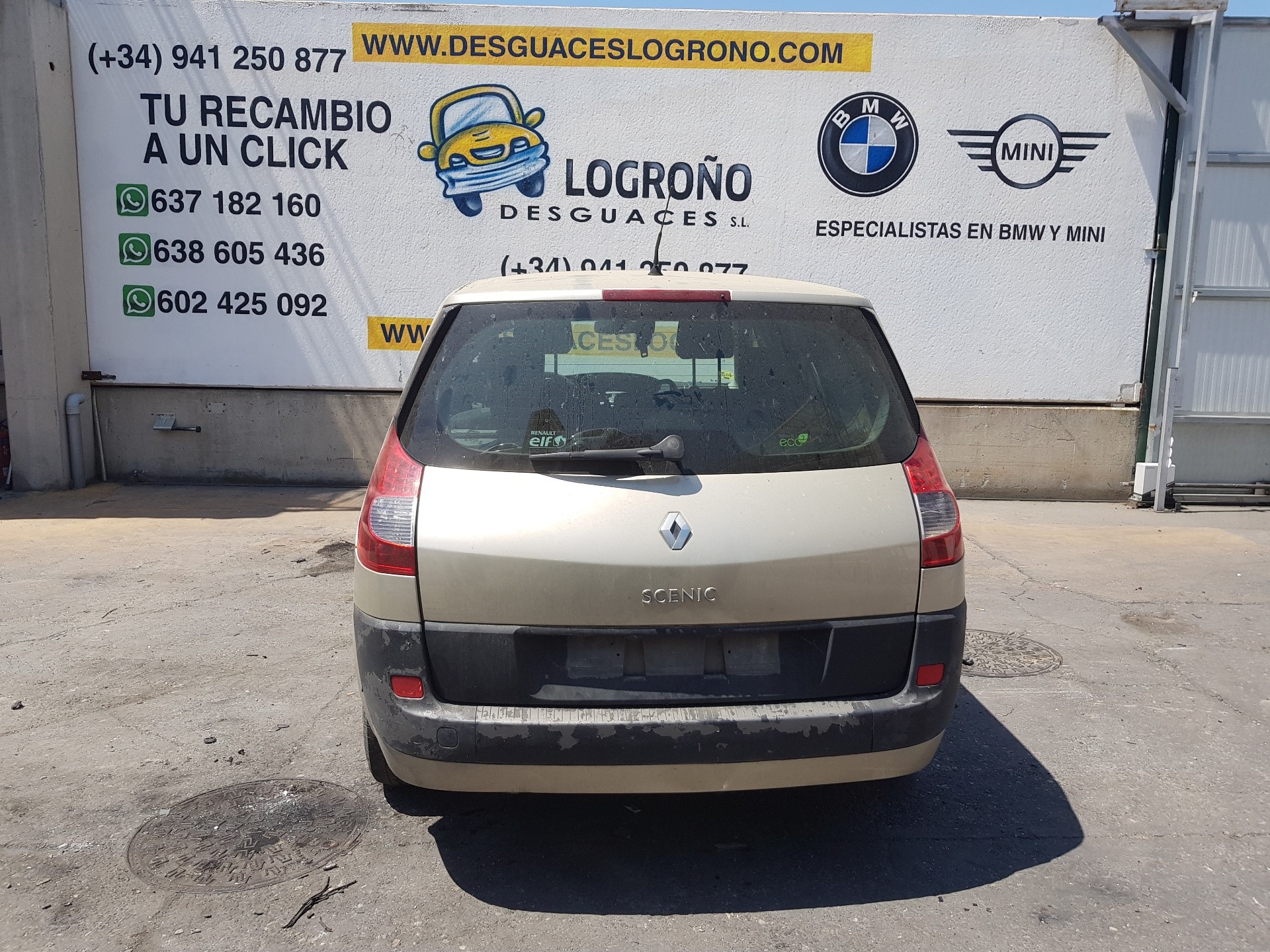 RENAULT Scenic 2 generation (2003-2010) Ліва передня крило 7701474852,8200020568,COLORDORADO 24177082