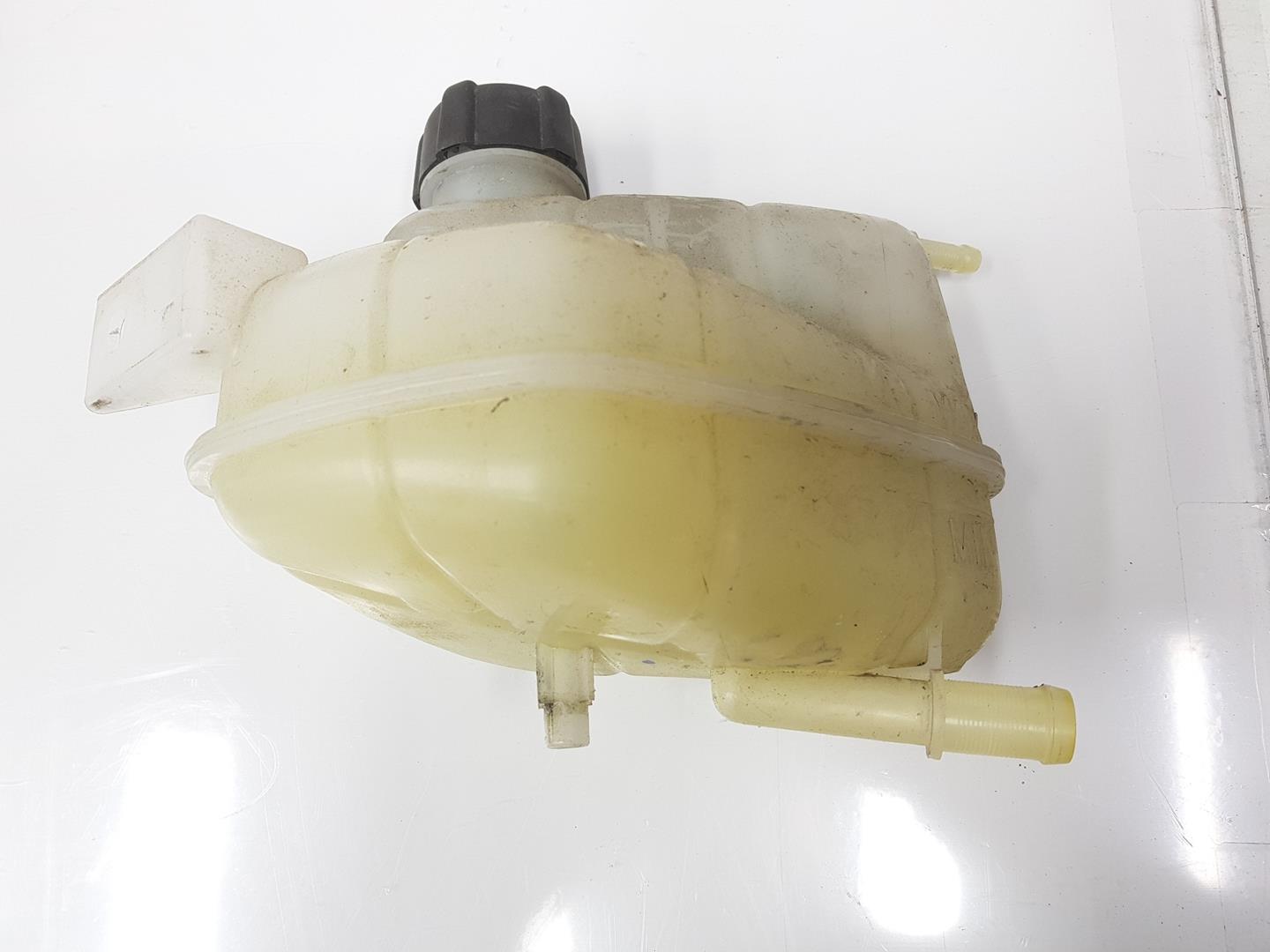 NISSAN X-Trail T32 (2013-2022) Expansion Tank 217114BE0A, 217114BE0A 19894947