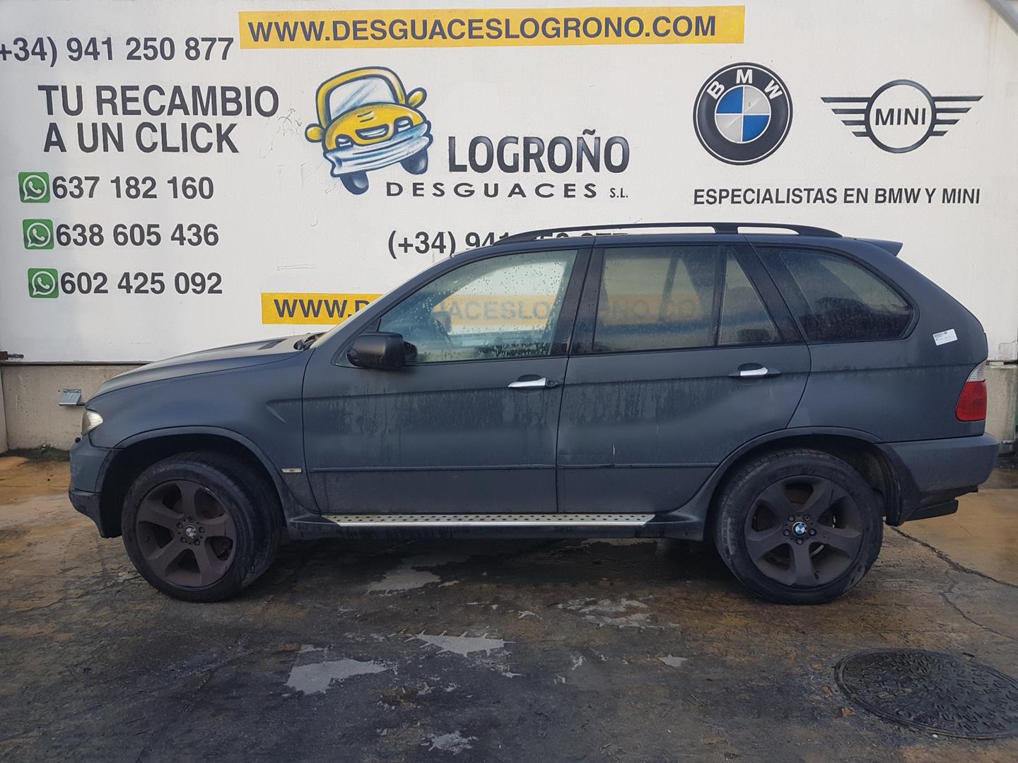 BMW X5 E53 (1999-2006) Other Control Units 61356923954, 61356923954 19794887