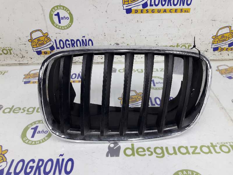 BMW X6 E71/E72 (2008-2012) Priekinės kairės grotelės 51137171395,51137171395 19620016