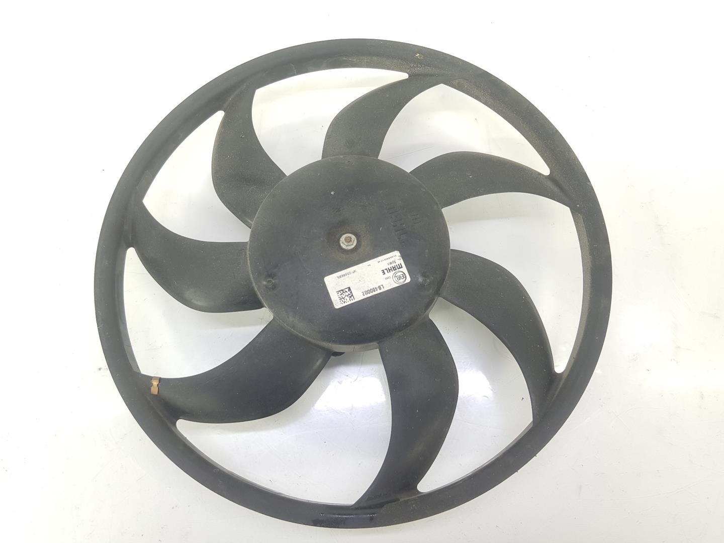 FIAT Ducato 3 generation (2006-2024) Diffuser Fan 1393261080,1399671080 19804151