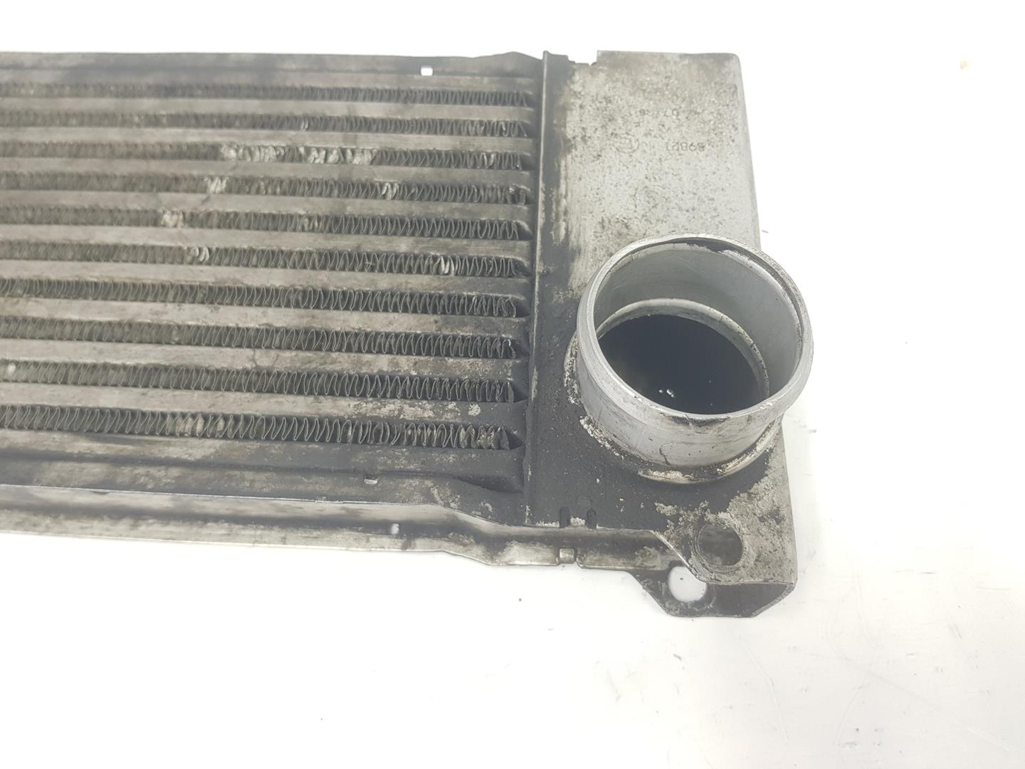 MERCEDES-BENZ Vito W639 (2003-2015) Intercooler Radiator A6395010301,A6395010301 21075598