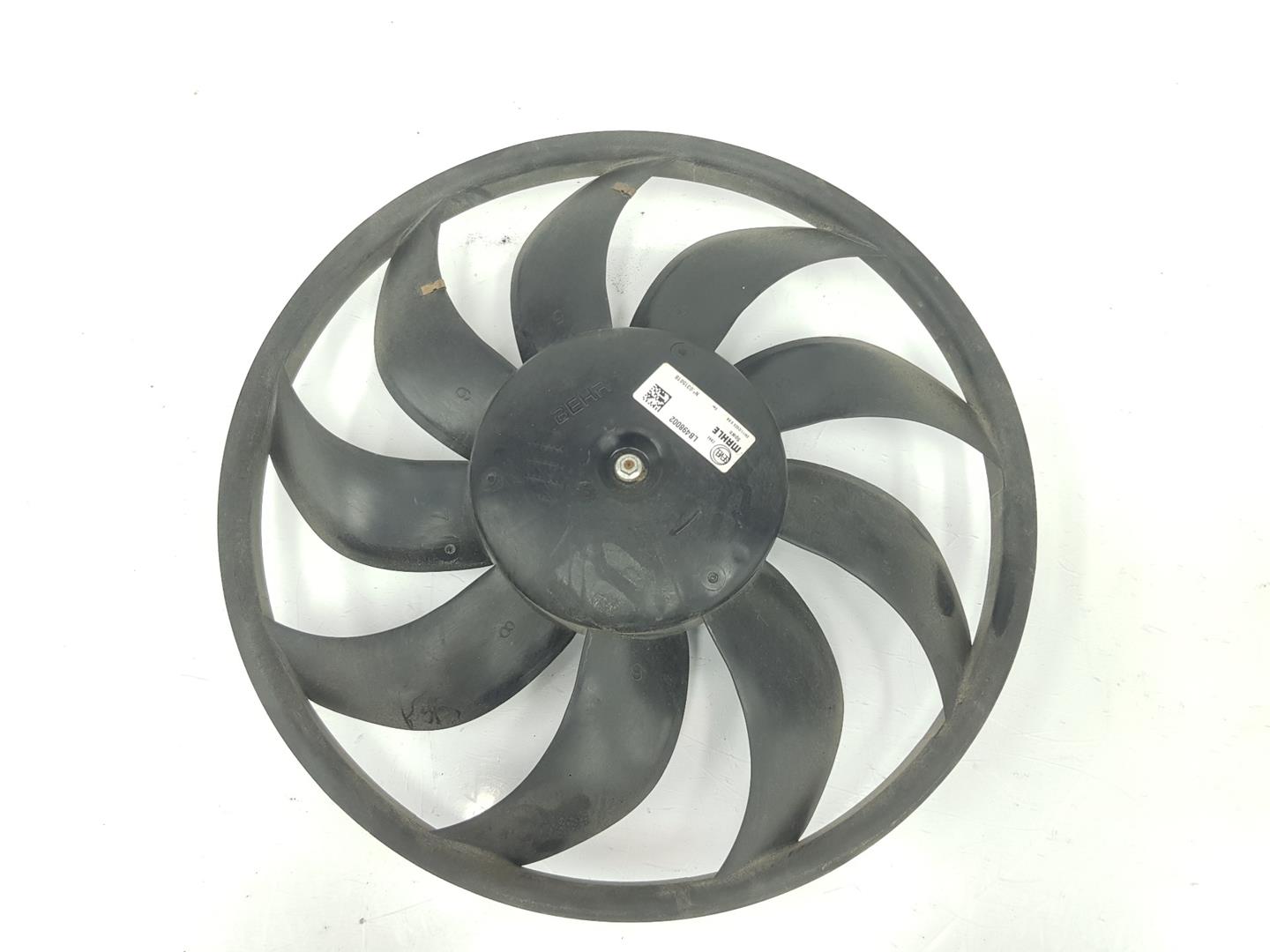 FIAT Ducato 3 generation (2006-2024) Diffuser Fan 1399671080,LB498002 19822250