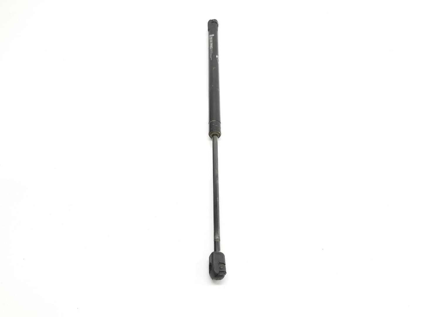 TOYOTA Land Cruiser 70 Series (1984-2024) Front Right Bonnet Strut 5344069055,5344069055 19838871