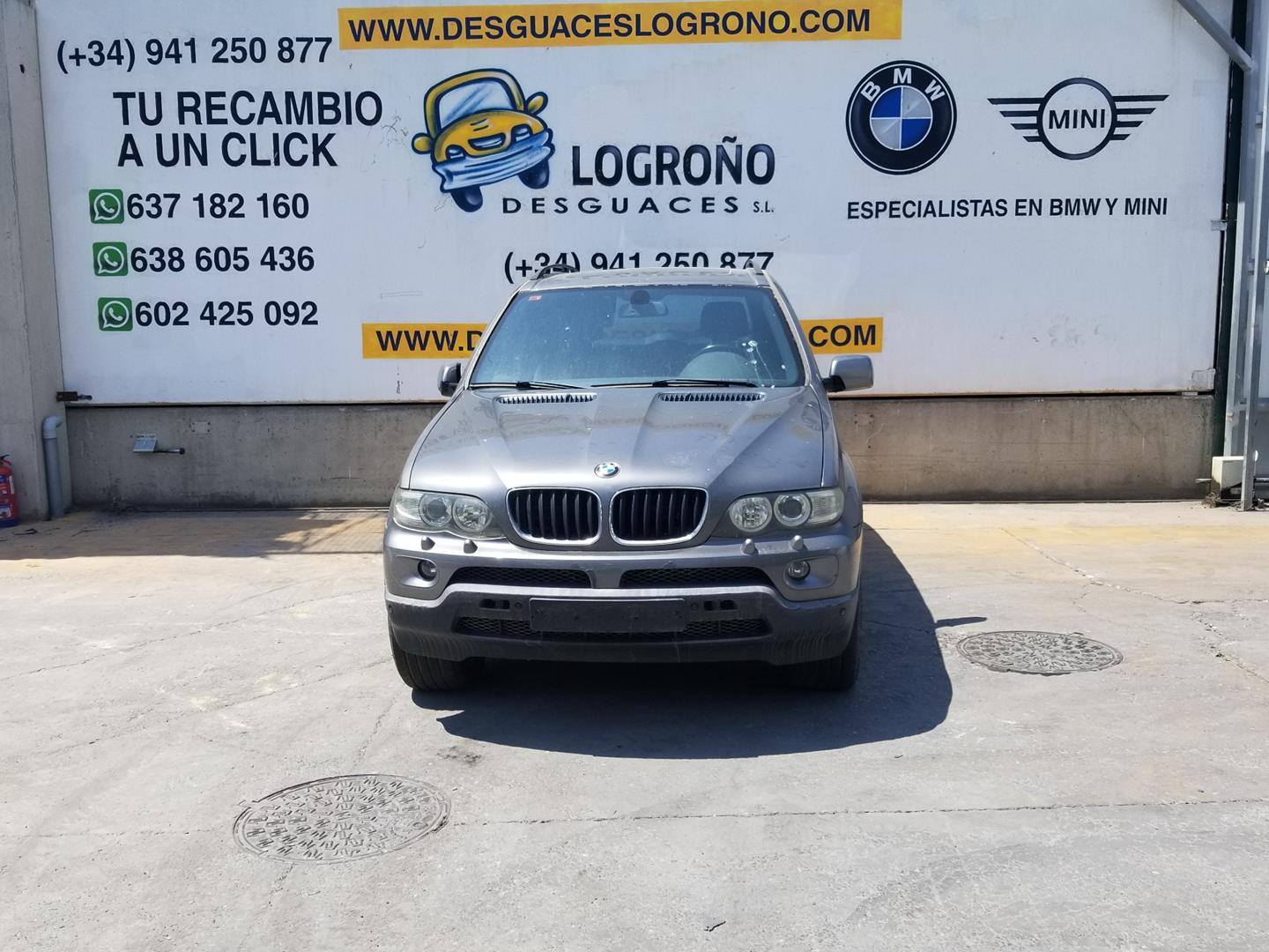 BMW X5 E53 (1999-2006) Other Control Units 61356923954, 61356923954 19833045
