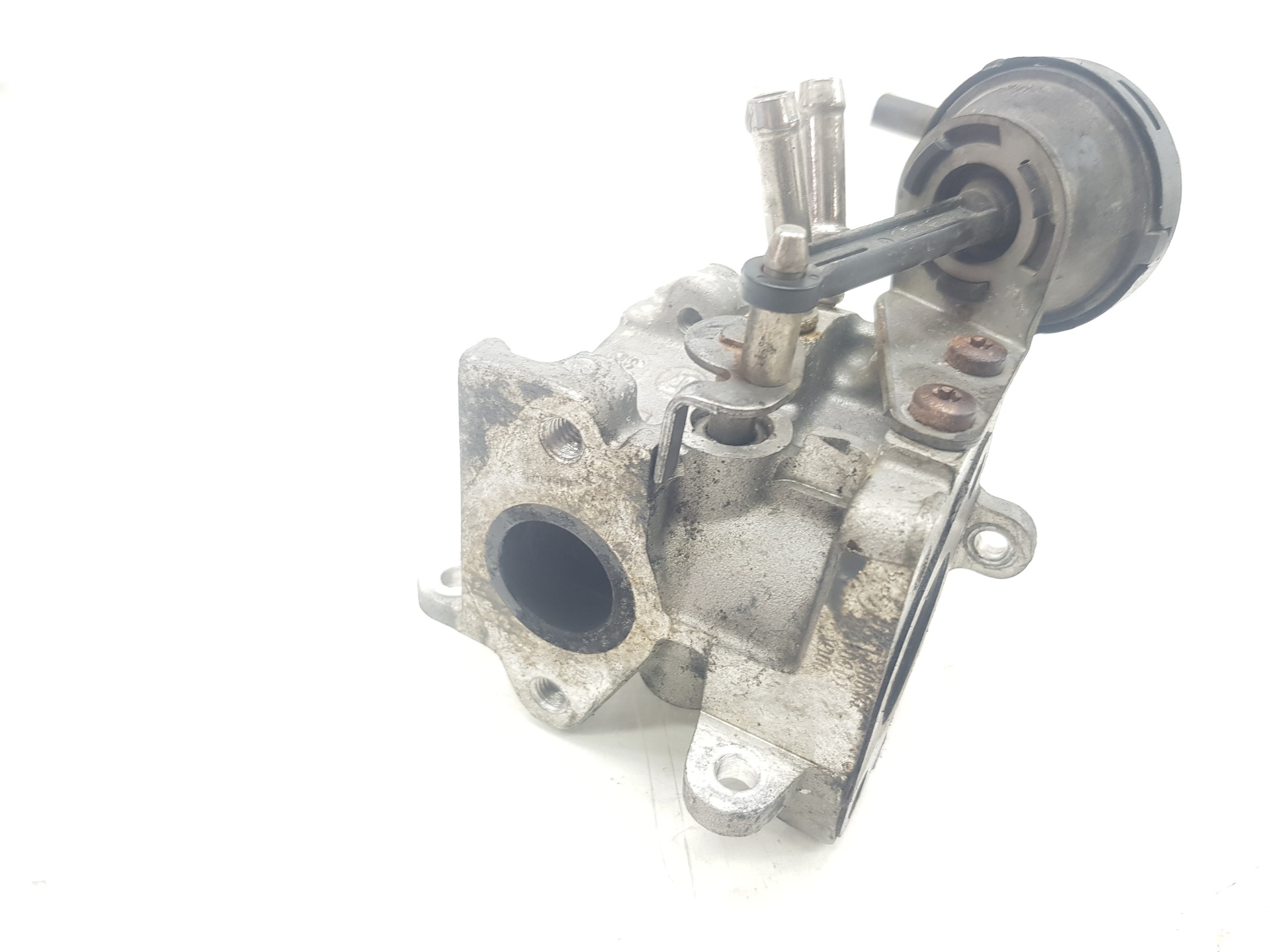 VOLKSWAGEN Touran 1 generation (2003-2015) Клапан EGR 03G131512L,03G131512L,1111AA 27244680