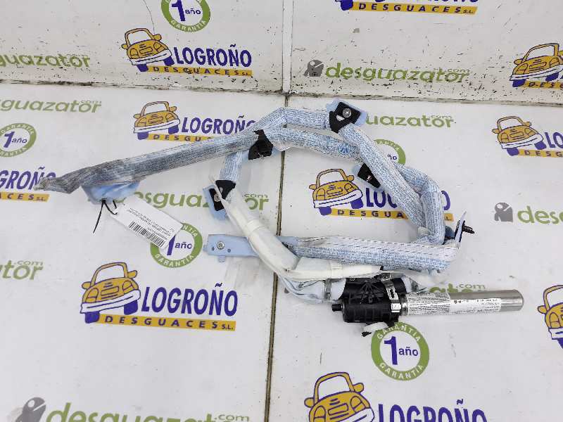 VOLKSWAGEN Passat B6 (2005-2010) Подушка безопасности потолка левая 3C0880741E,3C0880741B 19564764