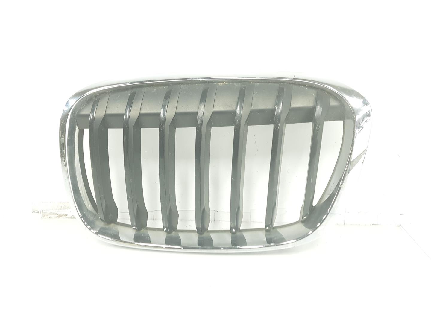 BMW X1 F48/F49 (2015-2023) Radiator Grille 51137354823,7354823 24132928