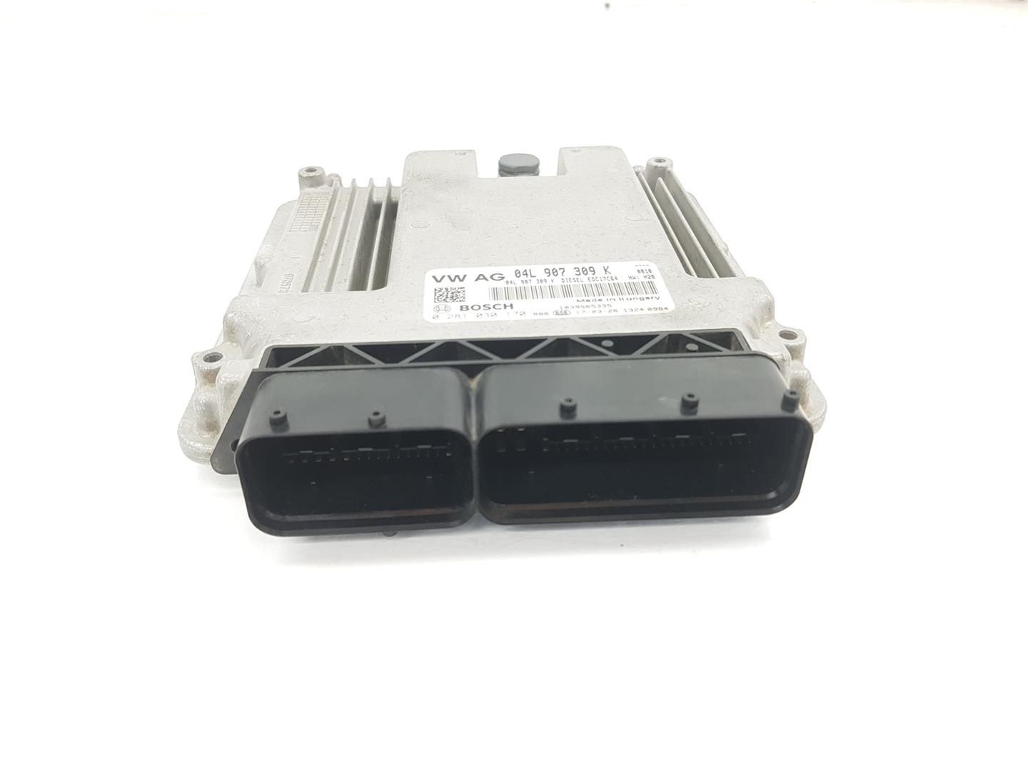 VOLKSWAGEN Caddy 4 generation (2015-2020) Moottorin ohjausyksikkö ECU 04L907309K,04L907309K 24216117