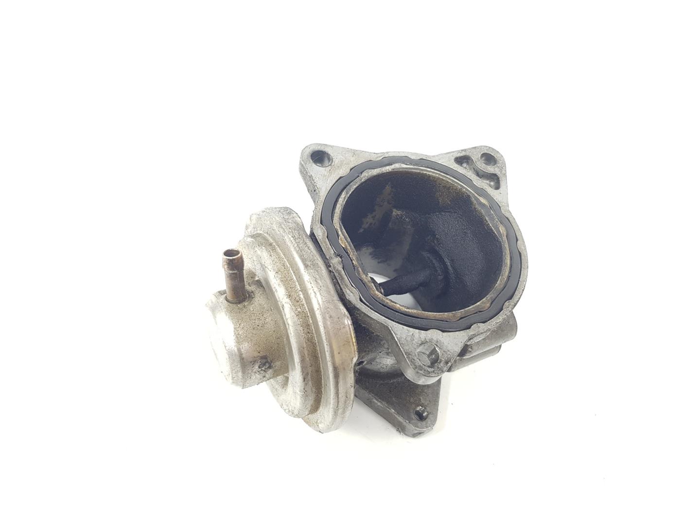 VOLKSWAGEN Passat B6 (2005-2010) EGR ventil 038131501AN,038131501AN 19874921