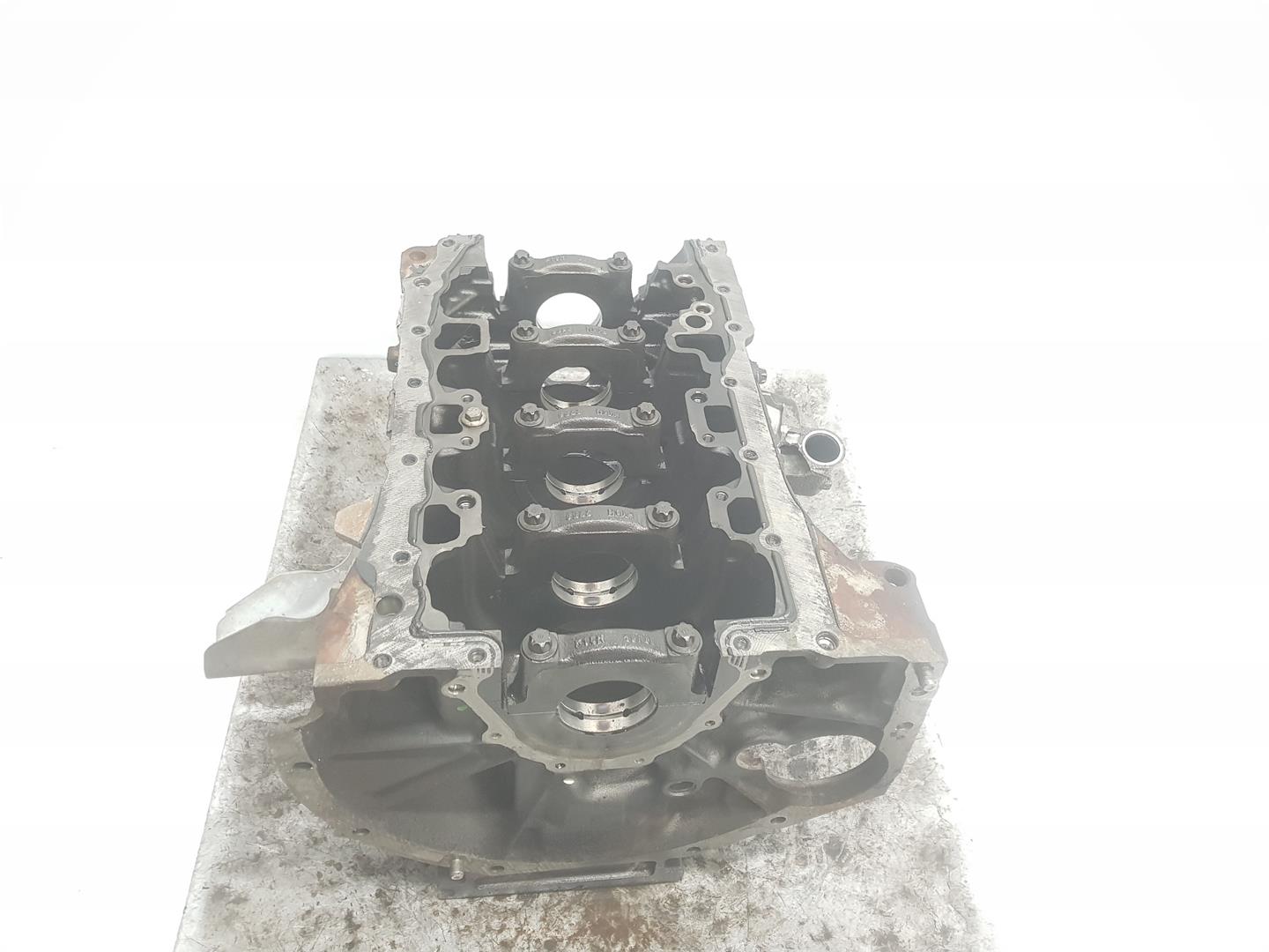 RENAULT G20/G21/G28 (2018-2024) Engine Block BLOQUEM9R692, M9R692 24473794