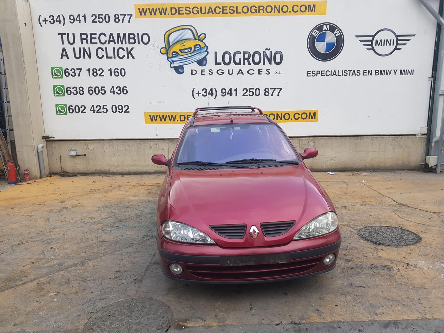 RENAULT Megane 1 generation (1995-2003) Блок управления двигателем 8200166362,HOM8200039569,0281010819 19774498