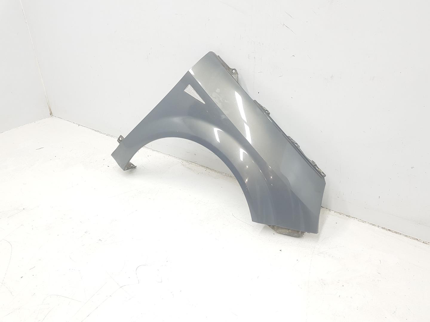 RENAULT Scenic 2 generation (2003-2010) Front Right Fender 7701474853, 7701474853, COLORGRISOSCURO 20869477